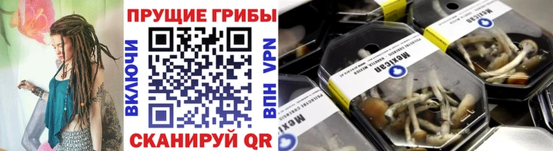 Псилоцибиновые грибы MAGIC MUSHROOMS  Купить закладки  Петухово 